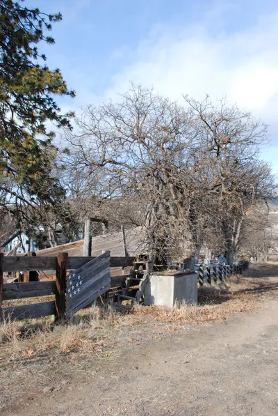 DSC_0012 (Large).JPG